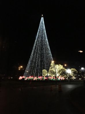 Opryland fake tree 44