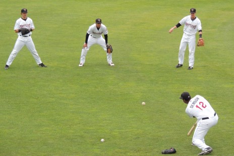 t-rats-playing-pepper