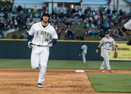 FirefliesvAugustaGreenjacke (12)